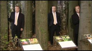 PEFC - Programme for the Endorsement of Forest Certification schemes