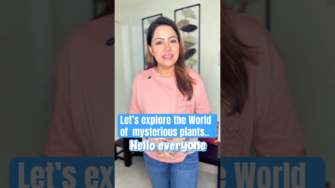 NO SUN NO GREEN STILL ALIVE..