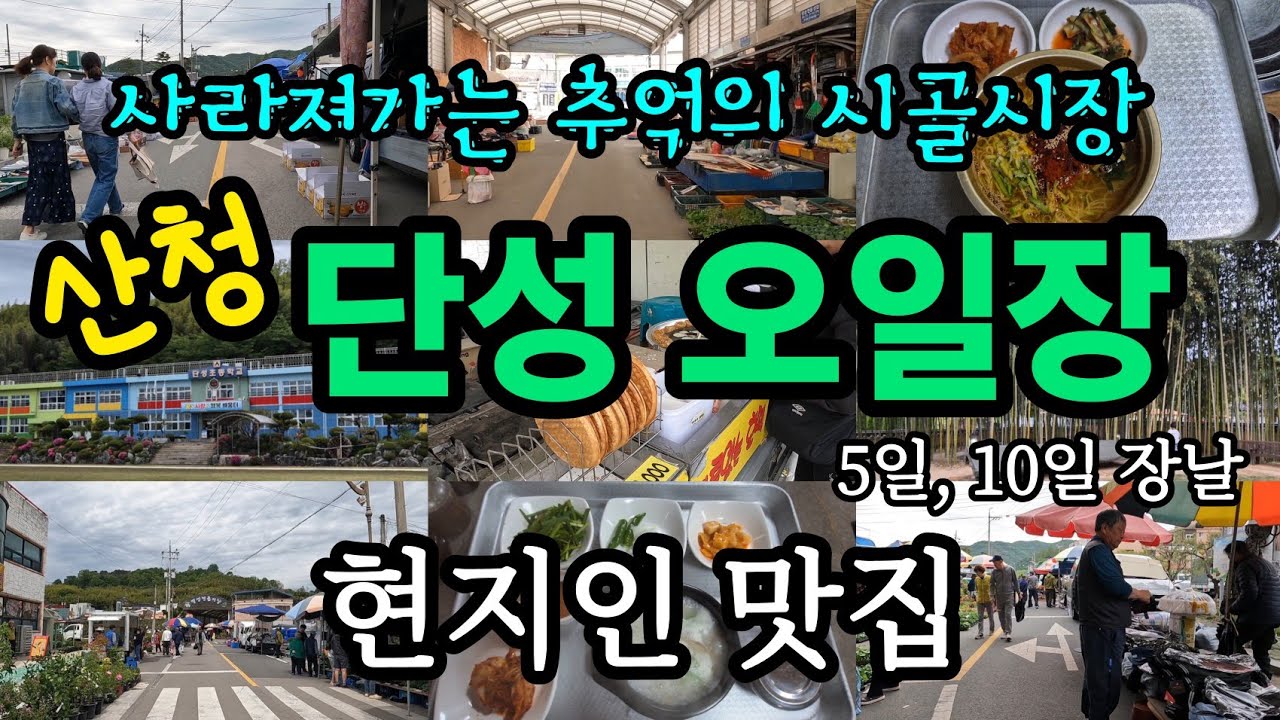 산청 단성오일장(전통시장, 단성시장, 시장맛집, 지방소멸, 내돈내산, 시장, 산청맛집, 국내여행, 산청여행, 산청군, 시골맛집, 물국수, 돼지국밥, 먹방, 시장탐방, 현지인맛집)