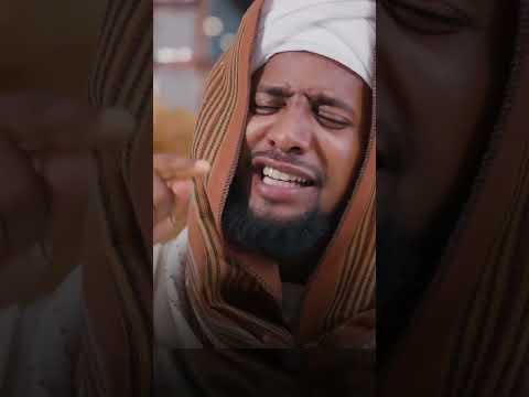 New Menzuma Muaz Habib