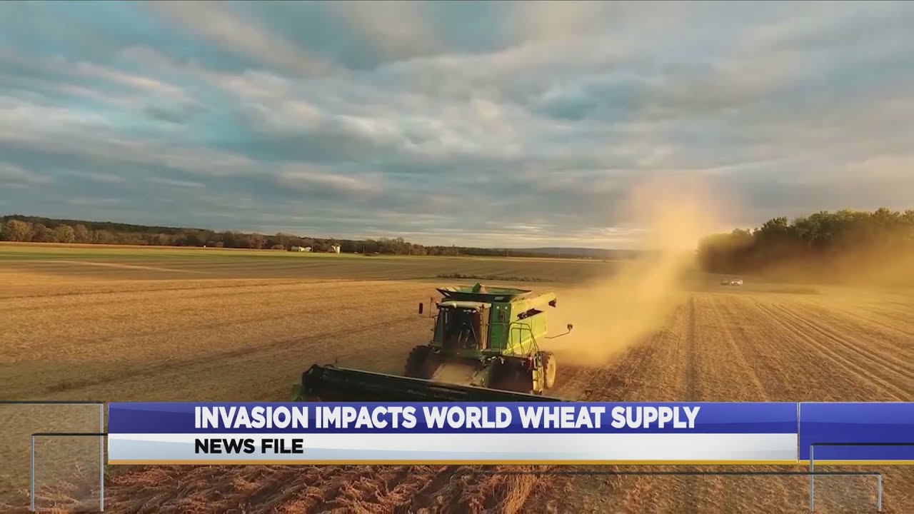 Invasion impacts world wheat supply