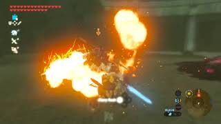 The Legend of Zelda: Breath of the Wild on Yuzu Android : Coliseum Ruins (Lynel Rematch)