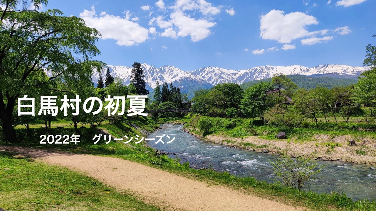 4K】白馬村初夏 〜青鬼の棚田・大出公園〜 - YouTube