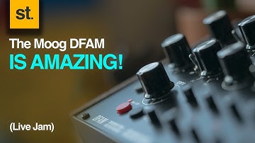 The Moog DFAM is Amazing!