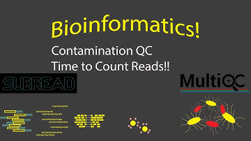 Bioinformatics - Contamination QC and FeatureCounts