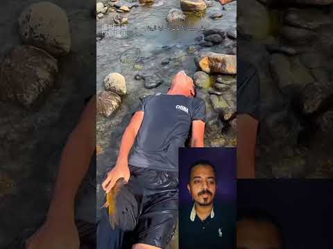 اخطر سمكه كهرباء  دويتو    اكسبلور  احلامك فلوس