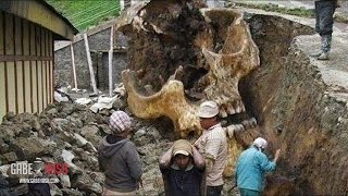 ¿APARECEN CRÁNEOS GIGANTES EN MÉXICO? 23 DE MARZO DEL 2015 (EXPLICACIÓN)