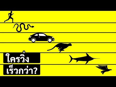 วีดีโอ: สิ่งมีชีวิตที่โง่ที่สุดในโลกคืออะไรest