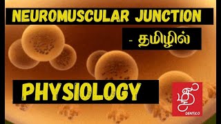 Neuromuscular junction physiology - in tamil for medical and paramedical students