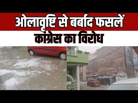 Hailstorm Crop Damage Banda ; ओलावृष्टि से तबाह फसलें, मुआवजे को लेकर कांग्रेस का विरोध