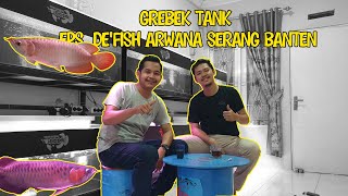 #GREBEKTANK De'Fish Arwana SERANG BANTEN!!!! SULTAN SERANG WAJIB KESINI!!!