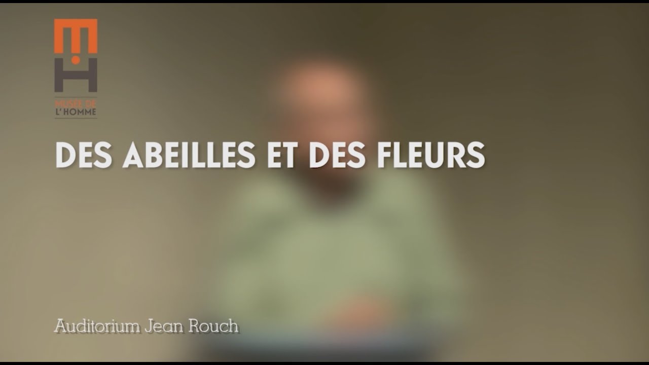 Des abeilles et des fleurs