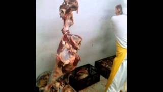 Despostando En Popayan