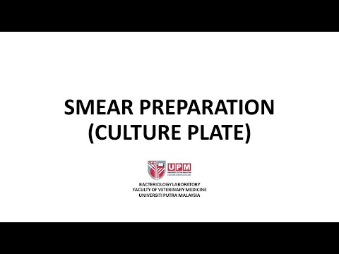 Smear Preparation (Culture Plate)