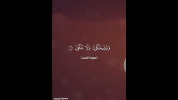 سورة النجم #المسبحة_اونلاين #راحة_نفسية #قرآن