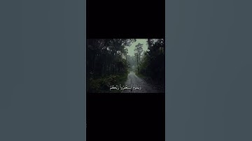 سورة هود آيه (٥٢-٥٣) للقارئ ماهر المعيقلي
