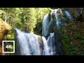 Lower Falls Creek Trail | Gifford Pinchot National Forest | Hiking Forest | Waterfalls &amp; Rivers