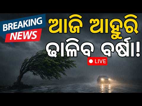 Odisha Weather Live: Heavy Rain Alert Issued For 8 Districts | ଆସନ୍ତା ୫ ଦିନ ପ୍ରବଳ ବର୍ଷା | Odia News