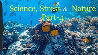 Sea-Life 3 Hour High-quality Mind-soothing Video & Music. Science behind its effect on Stress.