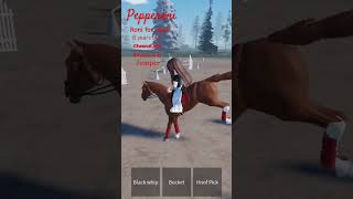 Download Lagu Meet pepperoni! #maplespringseventing #mse#song MP3