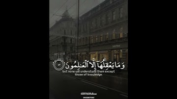 القارئ عبد الرحمن مسعد وتلك الأمثال نضربها للناس