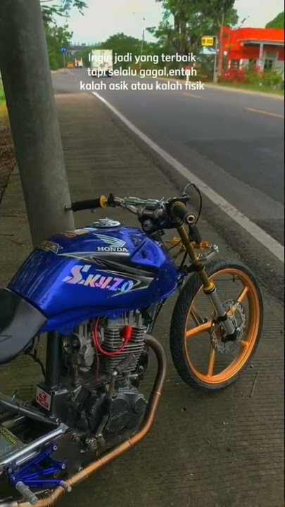 story wa herex TIGER S.K.Y.Z.O