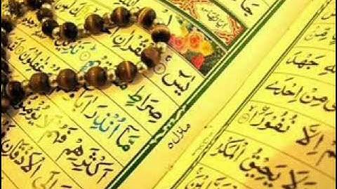 سورة يس صلاح الهاشم