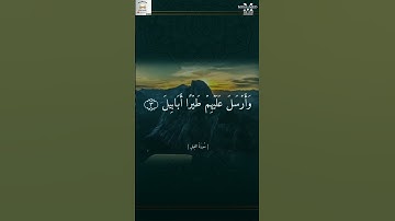 سورة الفيل | الشيخ احمد العجمي | تلاوة خاشعة