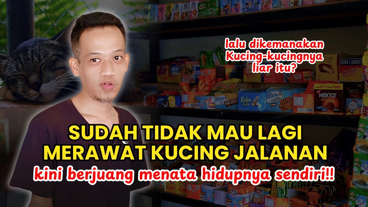 Kucing yang dia rawat sudah di free adopsikan, kembali ke habitat asal. Kini dia menata hidupnya!