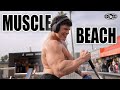 Bringing life back to muscle beach