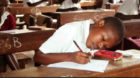 PLE RESULTS 2023-2024 Released | How to check for PLE results #uneb #ple #results