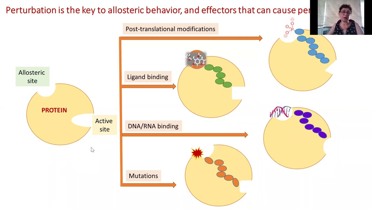 2022-01-31 NITheCS Colloquium: Özlem Taştan Bishop, Two intermittently linked aspects ...