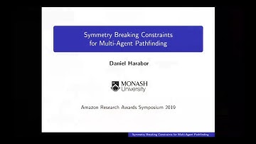 Symmetry Breaking Constraints for Multi-Agent Pathfinding