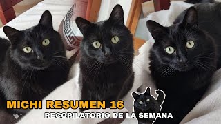 MICHI RESUMEN 16. Recopilatorio de la semana