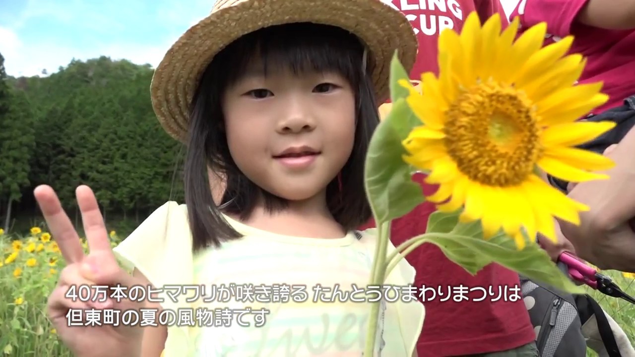 豊岡市 たんとうひまわりまつり Siouxcitizen Note
