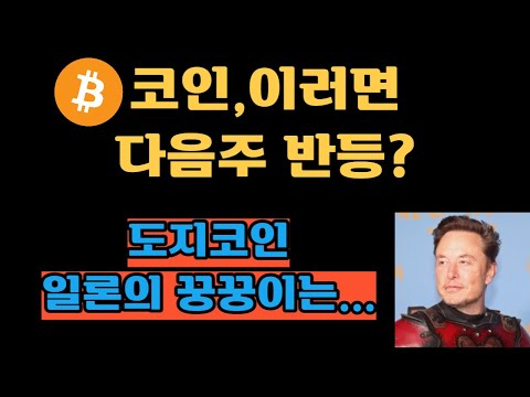 코인 이러면 다음주 반등 ㅣ도지코인 일론 머스크 꿍꿍이는 