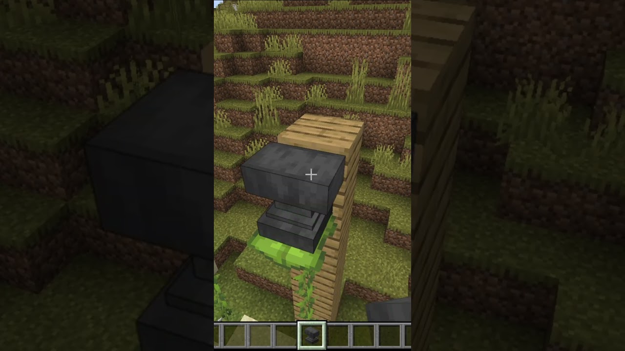 DRIP LEAVES IN MINECRAFT MAKE NO SENSE 