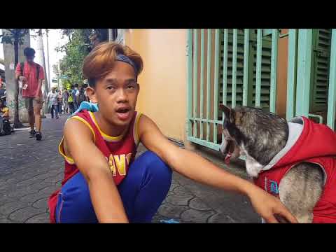 Video: Wonder Dog-го урунуу - бул Колледждеги футболдун күйөрмандары үчүн жык-жыйма