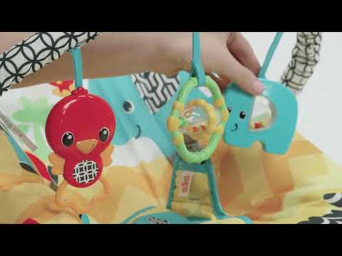 bright starts safari smiles bouncer