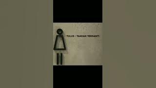 Tulus - Takkan Terganti ( cover ) 1 jam