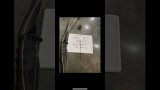 Traditional Bow Centaur Supercurve