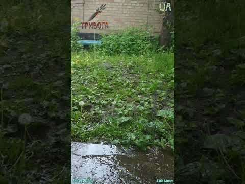 Після грози Завжди Сонце Миру всім та добра 🙏 #rain #thunder #nowar