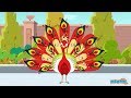 Tenali Raman and the Red Peacock Quiz