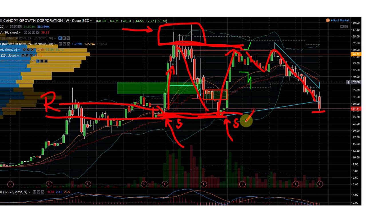 Canopy Growth (CGC) Stock. Buy, Sell or Hold? YouTube