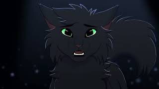 Miracle Hollyleaf MAP Part 19