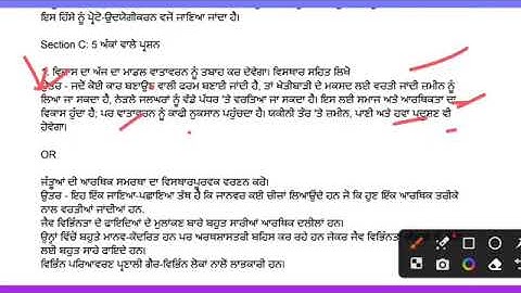 EVS paper class 12th 5 October 2024#pseb