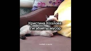 Кристина Козлова гигабайты мусор