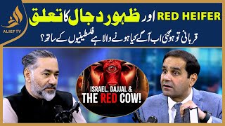 Red Heifer Ki Qurbani hogai Ab Palestine Main Kia Bara Honay Wala Hai? | Red Heifer Or Dajjal