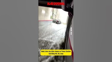 Nước tràn vào hầm chung cư Times Garden Cột Đồng Hồ, Hạ Long