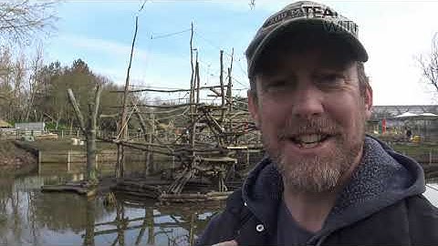 Spider Monkey Island Transformation - Vlog 5 - The End of the Build